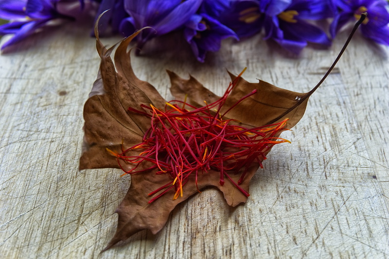 harvest, flower, 5K, table, condiments, close-up, vulnerability, high angle view, health, plant, plantation, foods coloured, flowering plant, poitiers