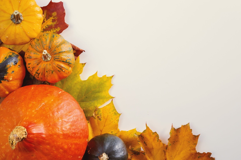 leaves, food, white, studio shot, copy space, leaf, outdoors, background, halloween, fruit, celebration, 4K, pumpkins, pumpkin, healthy eating, change