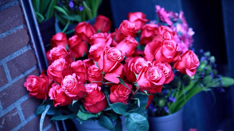 no People, flower, petal, wedding, gift, vulnerability, roses, much, backgrounds, bunch of flowers, red, leaf, decoration, romance, arrangement, fragility