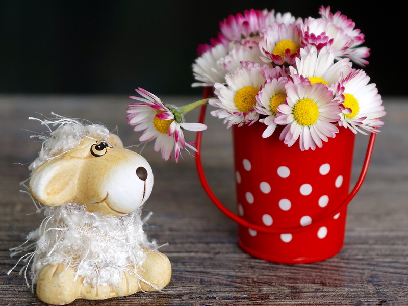 thank you very much, yellow, daisy, no people, lust for life, bouquet, luck, red, easter, flowering plant, grateful, romance, thank you, decorative sheep