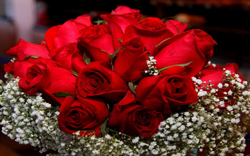 andonia, 1080P, onia, appreciation, 3d and abstract, gift, red, roses