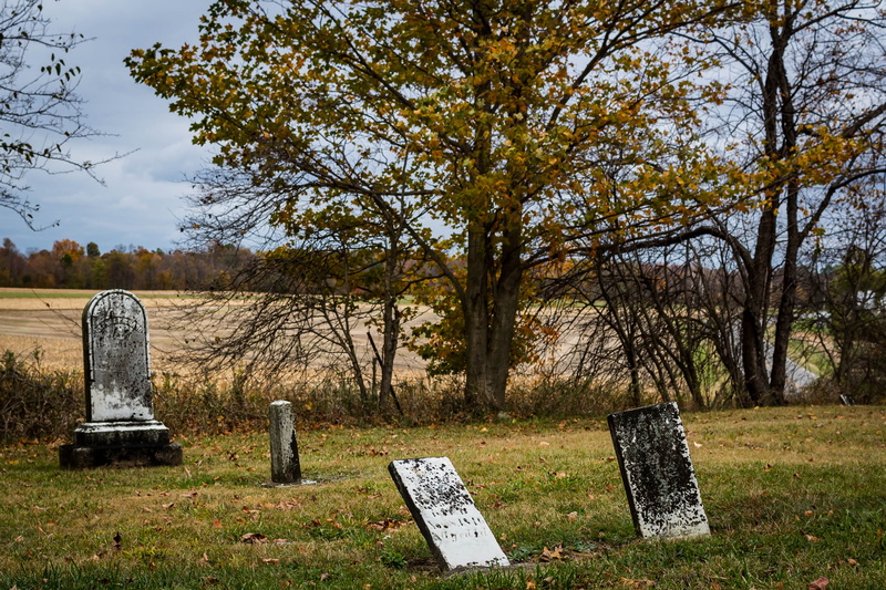 spirituality, grave appreciation, 2K, final rest, grave affair, belief, marker, monument, tree, grave, canon, stone, plant, cemetery, rest in peace, memorial