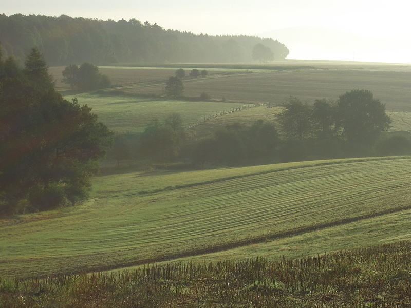 tranquil scene, Paypal, landscaped, weser uplands, summer, sunrise, field, landscapes, day, morgenstimmung, green Color, 2K, Coffee, fog, Donate, light snowfall