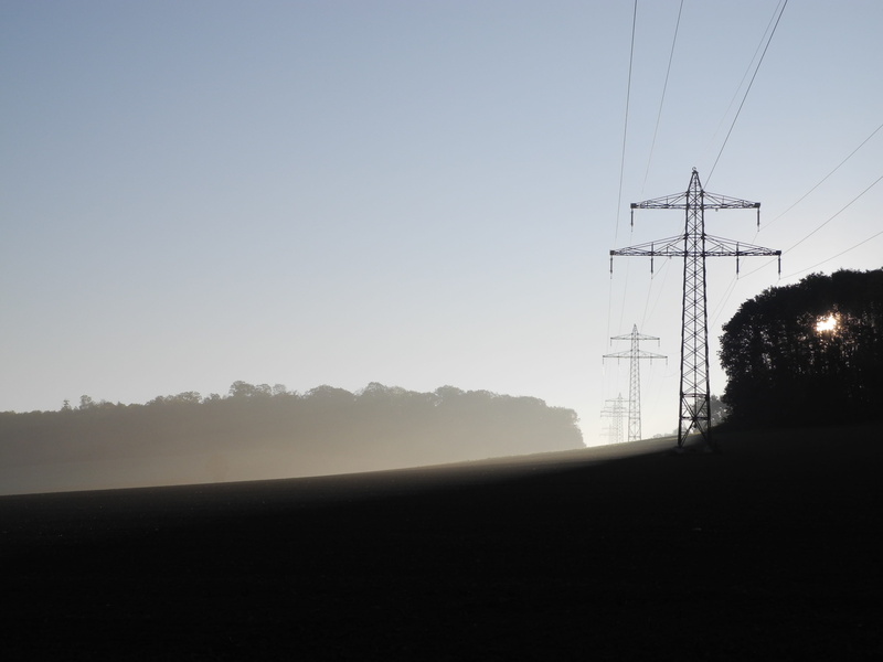 please donate, environment, outdoors, power supply, clear sky, forest, tranquility, tree, Paypal, nature, sky, silhouette, landline, power line, please appreciate