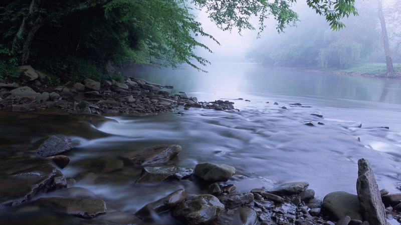 rocks, forest, west, 1080P, virginia, river, nature and landscapes, cheat, mist