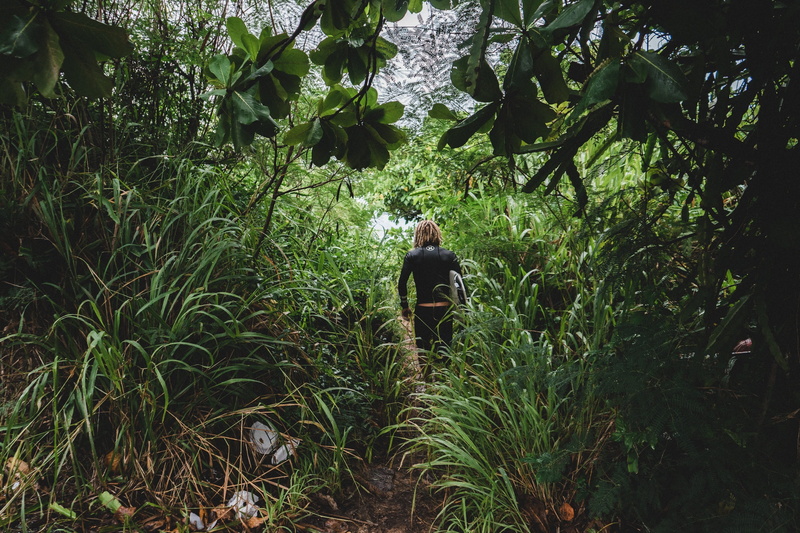 overgrown, 2K, lifestyles, person, summer, activity, greenery, nature, beauty in nature, path, jungle, shortcut, trail, plant, standing, rear view, top