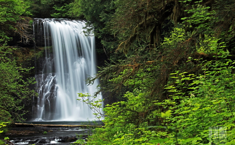 no people, environment, Park, foliage, power in nature, rainforest, Creek, Forest, falling water, waterfall, scenics - nature, North, Sublimity, beauty in nature