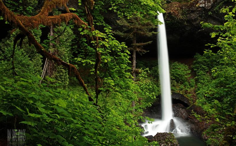 silverton, Creek, United States, flowing, power in nature, motion, outdoors, Nature, 5K, beauty in nature, Oregon, waterfall, Woods, Hiking, scenics - nature