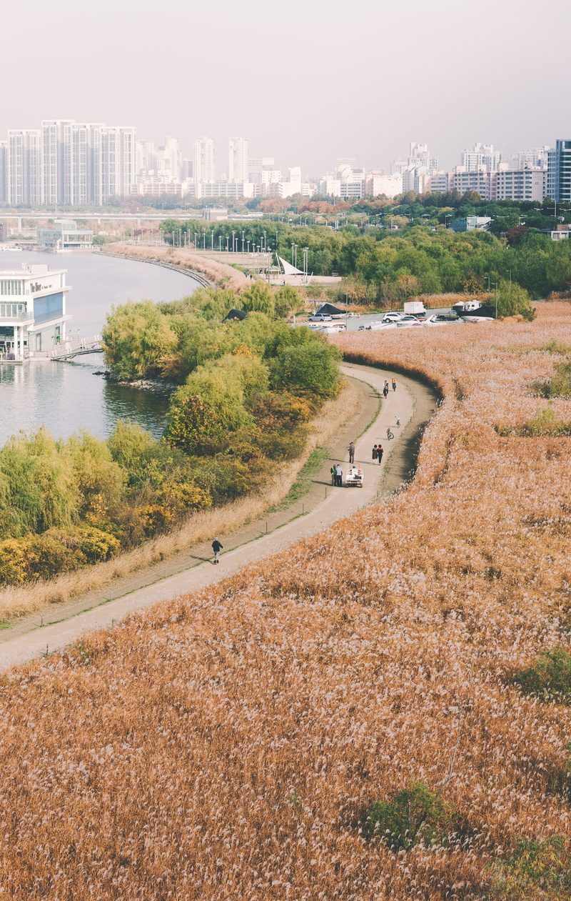 tree, walk, cityscape, autumn, road, person, built structure, field, fall, growth, eye, hike, transportation, high angle view, day, s, bird, river, view