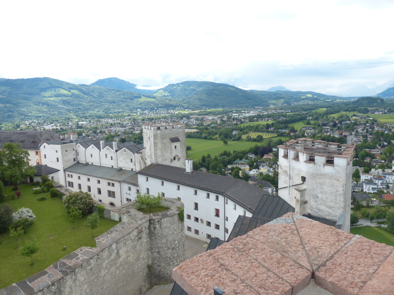 tree, fortress mountain, built structure, landmark, salzburg, fort, outlook, tourist attraction, travel destinations, europe, view, imposing, castle, building exterior