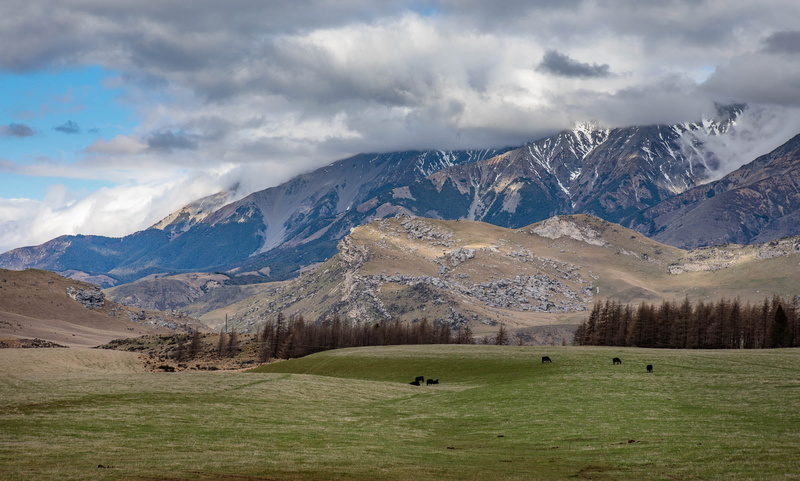 no people, cloud, nature, southern alps, cloud - sky, livestock, castle hill, scenics - nature, snow, tranquil scene, winter, new zealand, snowcapped mountain