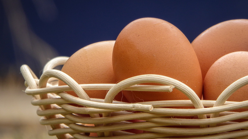 animal Egg, wooden, brown, wicker basket, navy, hunt, eggs, farm, Easter Basket, adelaide, freshness, organic, fresh, 4K, raw Food, basket, fridge, handmade