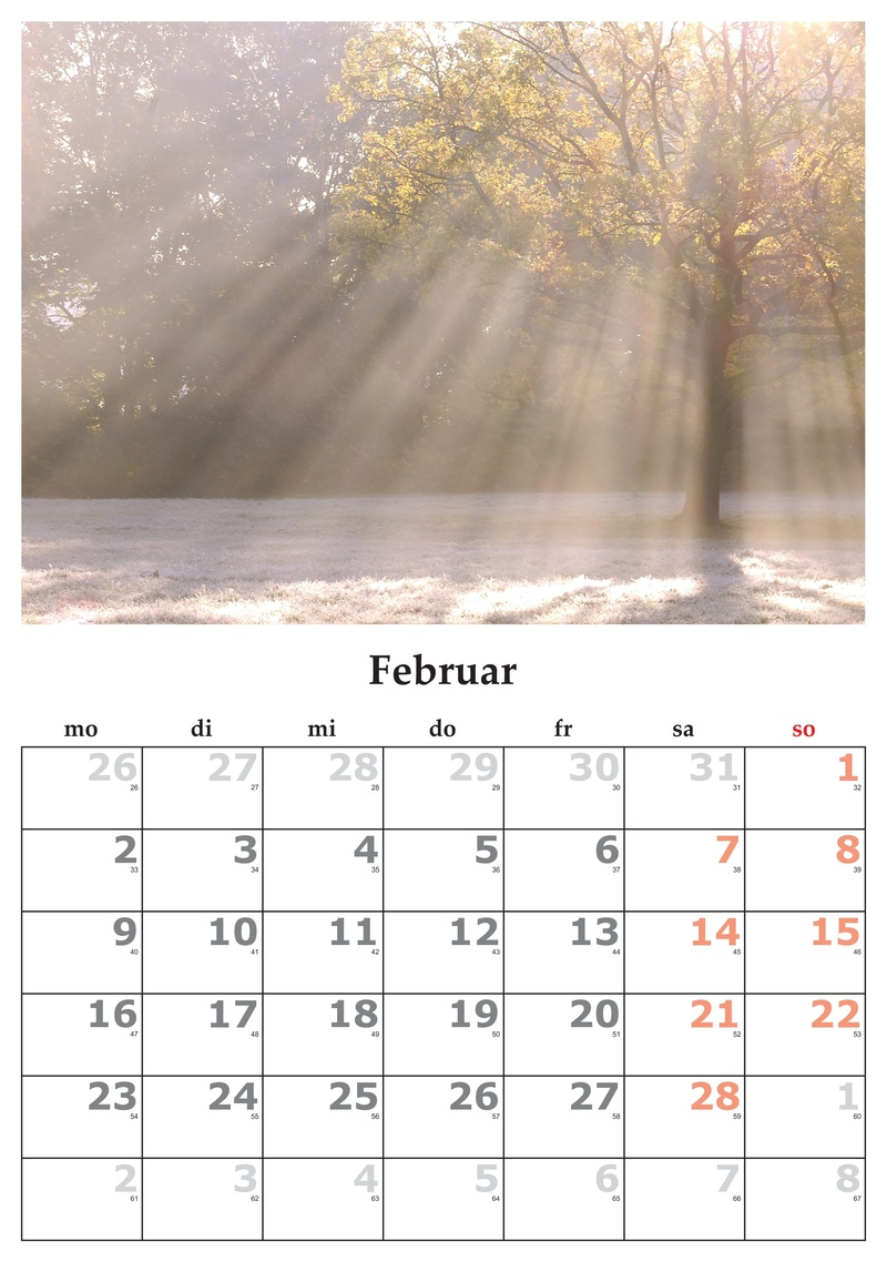 2K, plant, nature, month, instrument of measurement, message, transfer print, day, number, white color, sunlight, accuracy, february 2015, calendar, western script