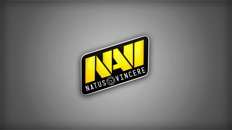 banner, web Page, label, gray, Counter-Strike, copy space, Natus Vincere, Team, directional sign, computer, studio shot, guidance, no people, wall - building feature