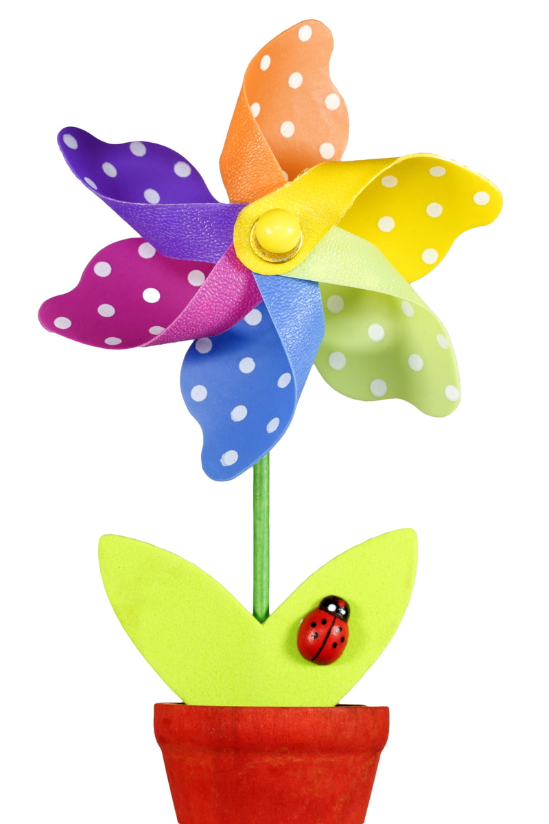 fun, florist, ladybird, march, botany, happiness, decoration, orange, no people, lavender, group of objects, april, toy, daisy, design, wood, close-up