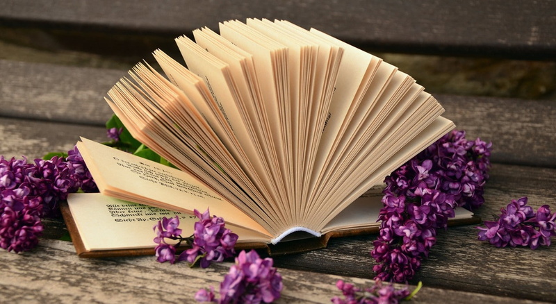 flowers, books, purple flowers, 720P, organs