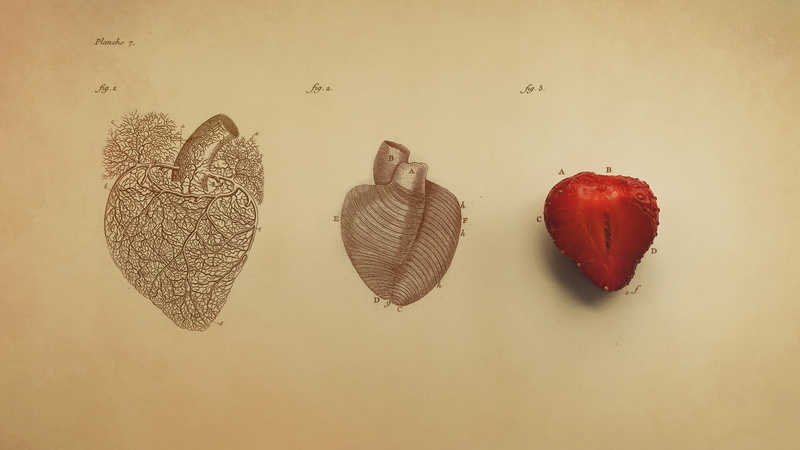 hearts, organ, 1080P