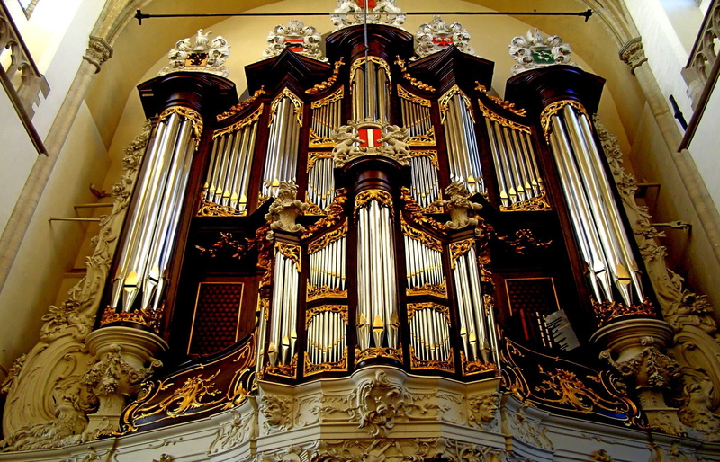 1080P, beauty, organ, amazing, animals, church, building, musical, begin