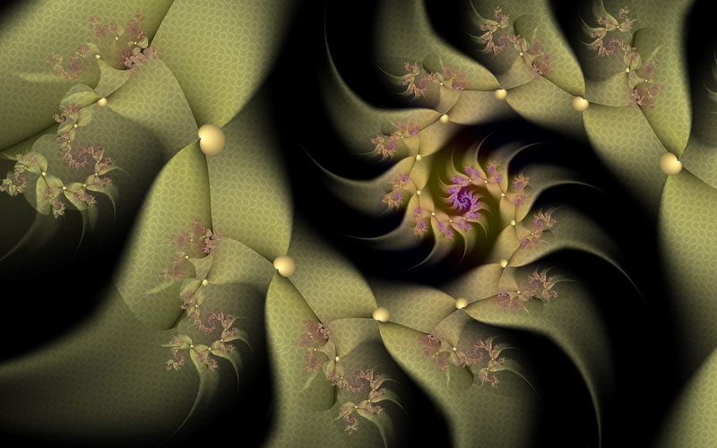 leaves, green, fractals, spiral, organic, 1080P, moss, 3d and abstract