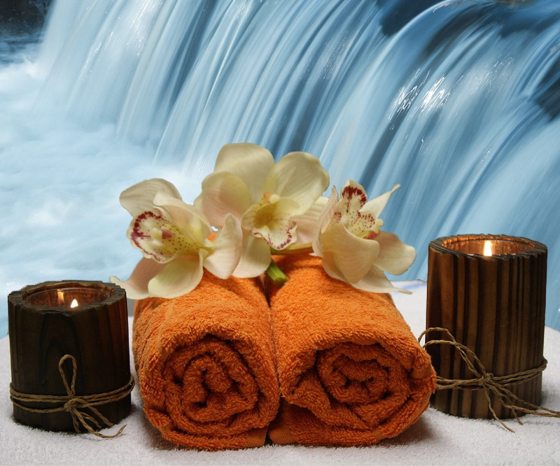 spa, purity, wellness, candlelight, towel, brown, two, plant, table, water, flowering plant, rest, freshness, softness, beauty in nature, meditation, spa treatment