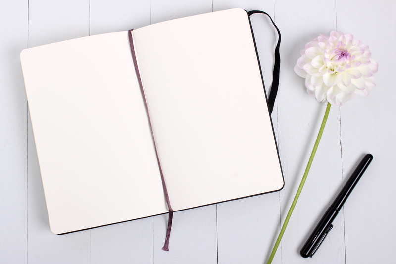 note pad, indoors, blank, technology, message, flower head, no people, publication, paper, ballpoint, beauty in nature, book, white color, close-up, nature