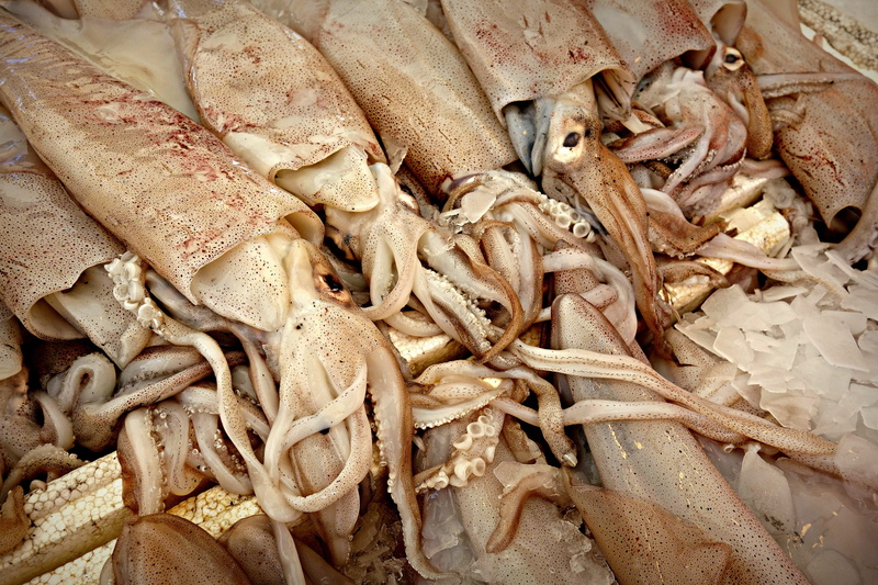 octopus, no people, fresh, abundance, 4K, day, food, healthy eating, business finance and industry, food and drink, large group of objects, eating, consumerism