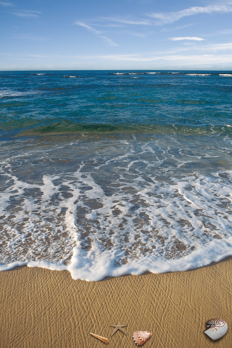 sand, surfing, horizon, decorative, tranquil scene, cephalopods, turquoise colored, holiday, beauty in nature, summer, sport, idyllic, tides, 4K, wave