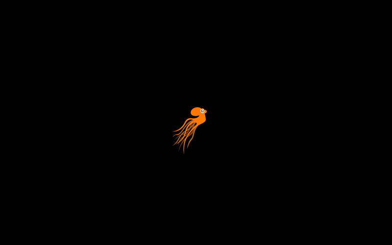 black background, animal themes, nature, vertebrate, sky, squids, animals in the wild, animal wildlife, fragility, outdoors, orange color, bird, studio shot