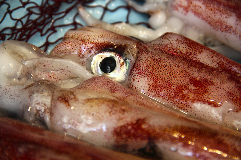 close-up, sea, fish market, raw Food, sale, wellbeing, fish, indoors, no people, food and drink, marine, 4K, seafood, food, animal eye, retail, selective focus
