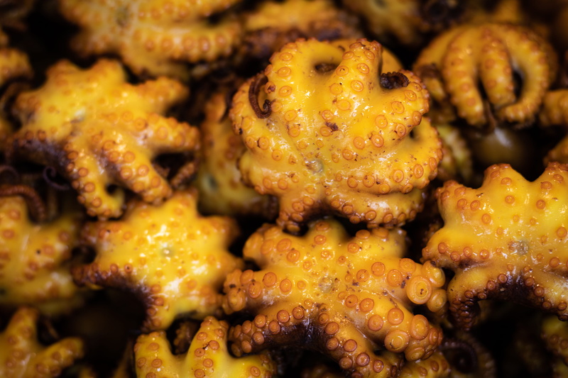 indoors, temptation, healthy eating, bread, squid, octopus, 4K, sweet food, animal, selective focus, thailand, full frame, sea life, close-up, seashell