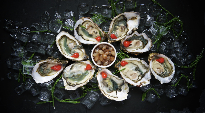 delicacy, freshness, vegetable, no people, kitchen utensil, cubes, raw, oysters, indoors, food and drink, meal, dinner, plate, seafood, shell, ice, fruit