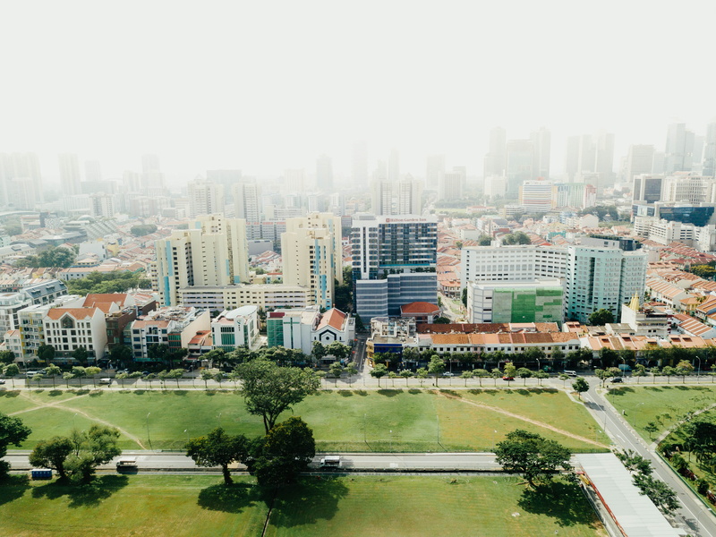 plant, office building exterior, architecture, building exterior, fog, cityscape, smog, tree, day, greenspace, urban skyline, town, aerial view, neighborhood