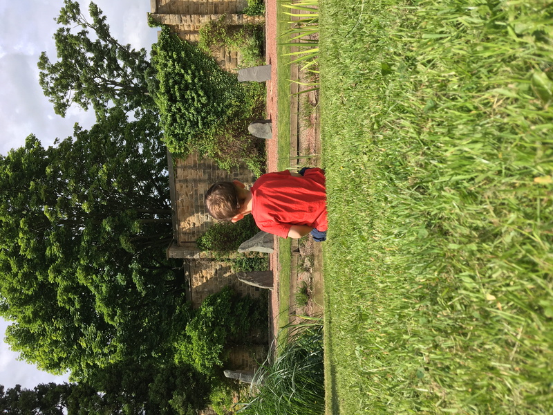 united kingdom, person, nephew, real people, garden, casual clothing, growth, arbour, boys, tree, lawn, one person, day, child, childhood, nature, family