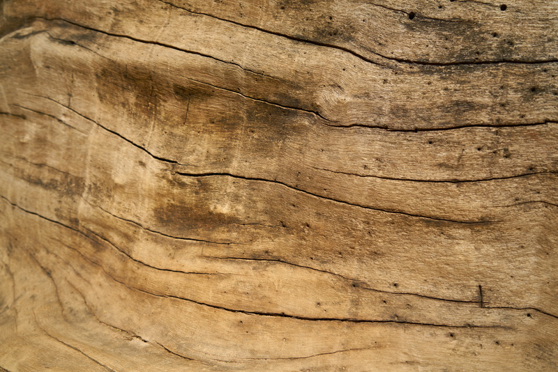 8K, plank, flooring, brown, no people, close-up, oak, wood - material, outdoors, old, backgrounds, tree trunk, abstract, rough, ground, wood-fibre boards