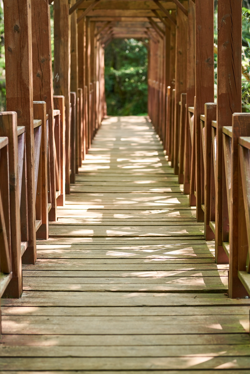 diminishing perspective, wood-fibre boards, wood - material, architecture, railing, built structure, no people, in a row, footpath, park, belief, footbridge