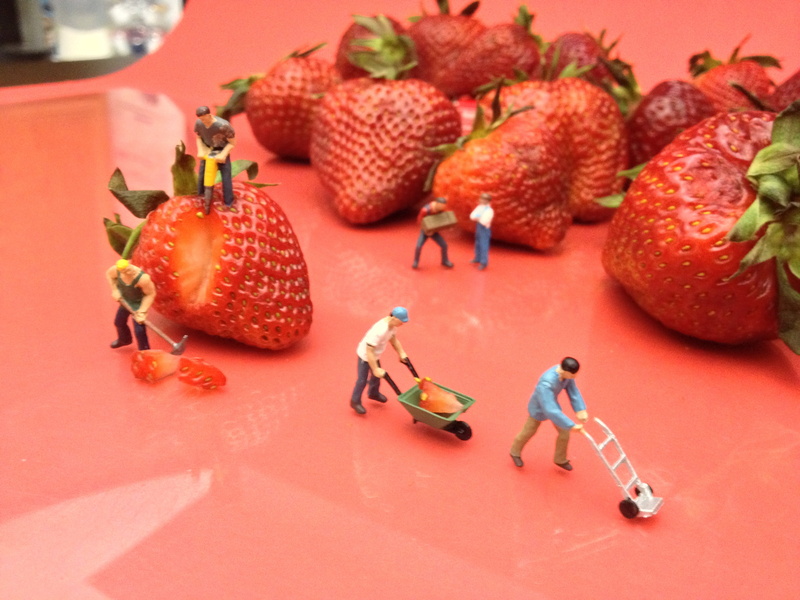 picture, cc, near, pink, Hard Work, freshness, Setup, 5k, worker, JD, Hancock, strawberry, Berry, 2K, figurines, food, strawberries, image, red, photo