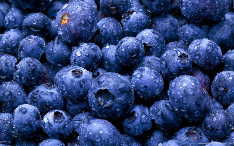 picture, nature, blueberries, drops, food, berries, 2K, water, gallery, fruits