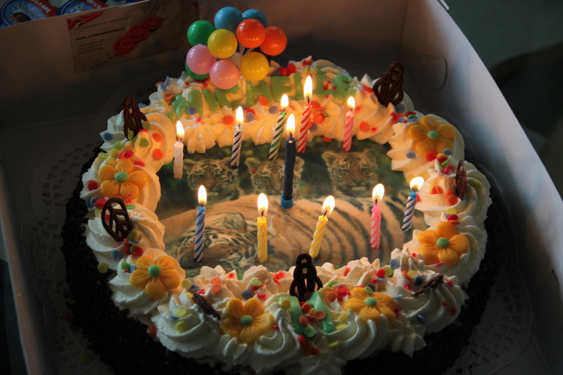sweet food, 2K, candle, birthday picture, sweet, birthday candles, celebrate birthday, dessert, celebration, indulgence, baked, Balloons, girls, birthday cake