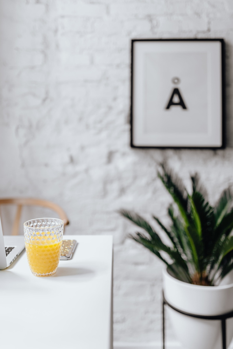 scandinavian, coffee table, freshness, drinking glass, marble table, household equipment, food, food and drink, no people, houseplant, white walls, living