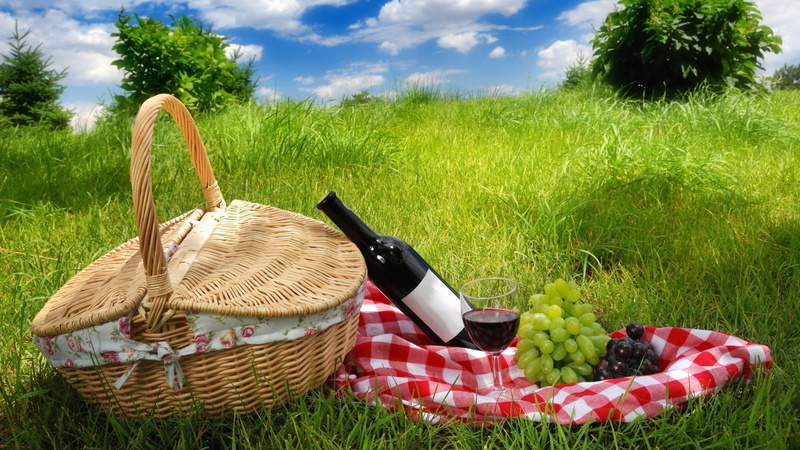 growth, healthy eating, picnic, day, food and drink, basket, picnic basket, outdoors, cloud - sky, plant, 1080P, grass, sky, no people, food, green color