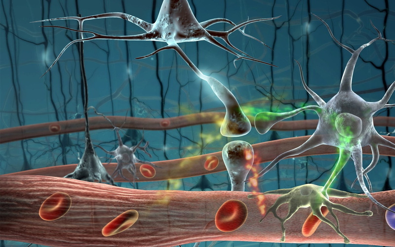 Cells, art, neurons, artwork, cgi, 1080P, digital, 3d