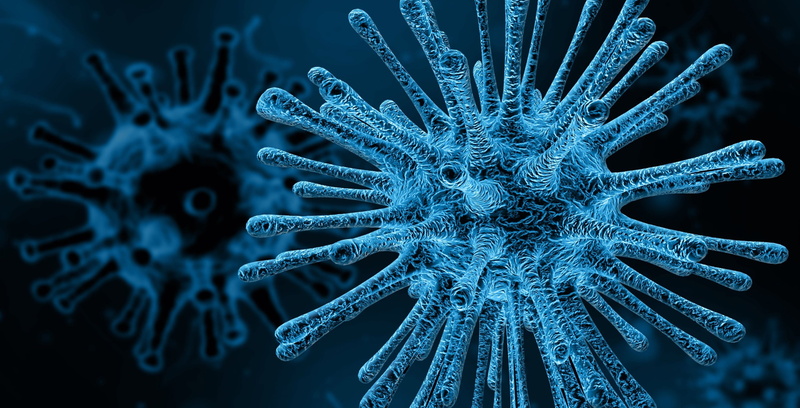 CELL, DISEASE, BACTERIA, VIRUS, 2K