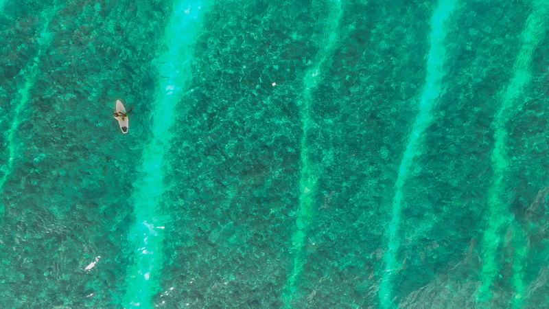 microscope Slide, water surface, microscope, swimming pool, turquoise colored, cell, scientific Micrograph, outdoors, floating on water, photo, top, science
