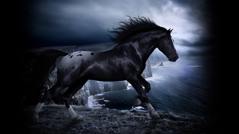 4K, mane, darkness, sea, coast, beauty, twilight, black horse, horse, night
