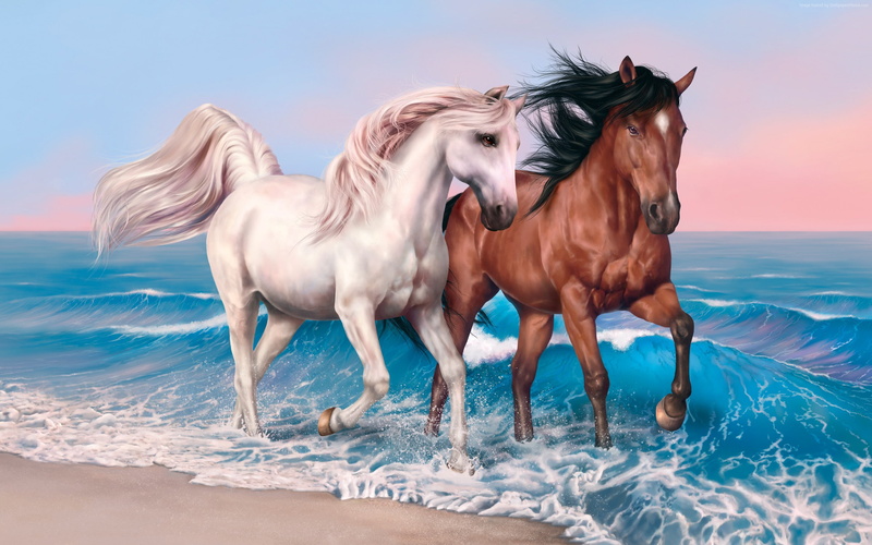 sunset, ocean, white, sea, horses, brown, 2K, 4k, run