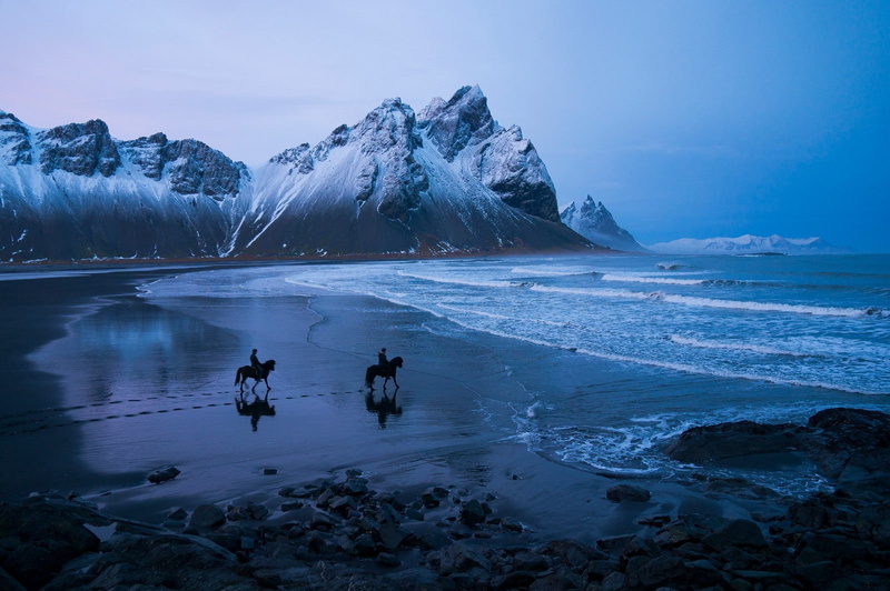 snow, mountains, 720P, horse, sea, shore