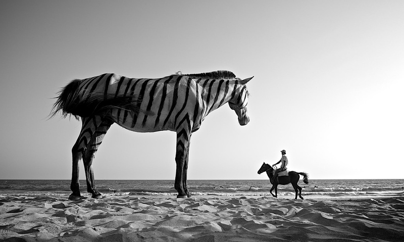 desert, 1080P, horse, monochrome, zebras, clear sky, surreal, sand, sea, men, photo manipulation, animals, giant, photography