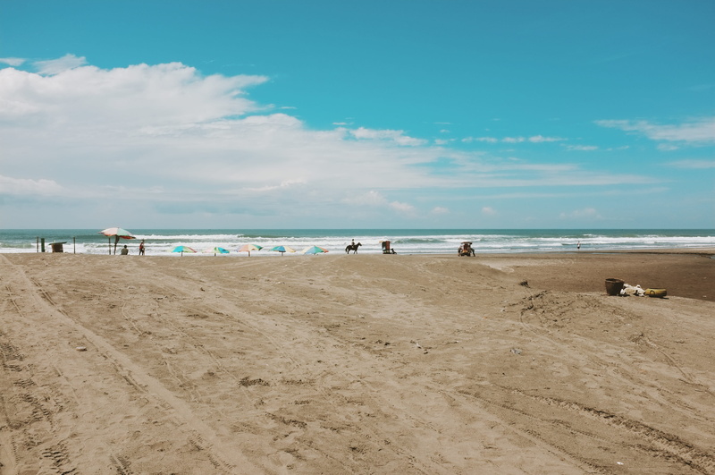 horizon, seascape, incidental people, land, beach, daytime, animal, water, beauty in nature, horizon over water, horse, sky, real people, tranquil scene