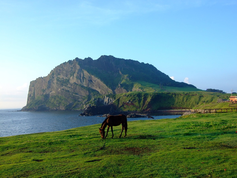 day, idyllic, environment, beauty in nature, outdoor, brown, scenery, rural Scene, korea, real people, 2K, land, mountain, nature, water, horse, view