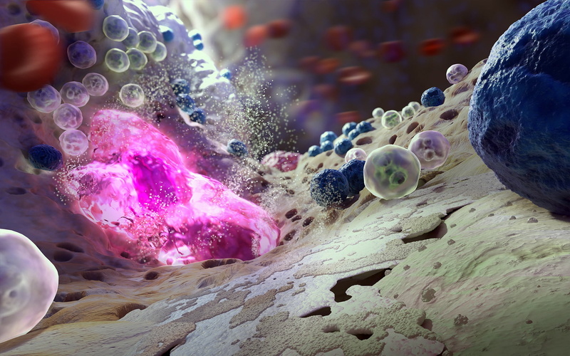 science, macro, colors, biology, microscope, 1080P, bacteria, Viruses, marrow, bones
